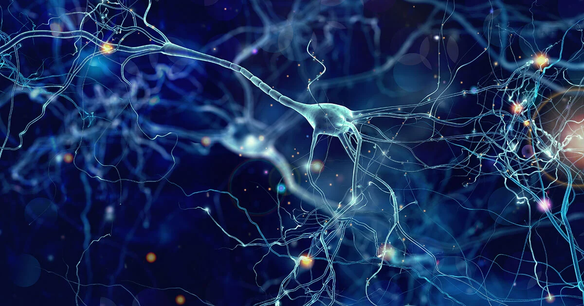 Imagen: ¿Qué es el deep learning?